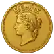 Gold Coin